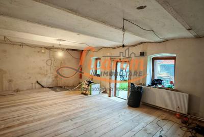 CASA SASEASCA comuna VULCAN,zona foarte buna,teren 3000 mp - 10