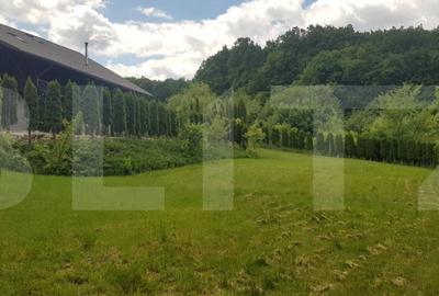 Investitie ! Casa de vacanta 350 mp utili ,teren 3000 mp in Faget ! - 11