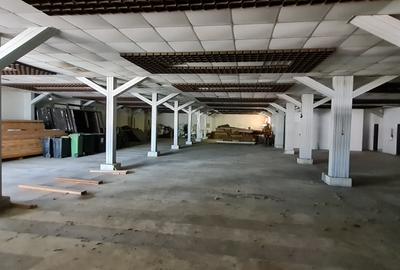 Inchiriez grup de hale cu platforma betonata - 1