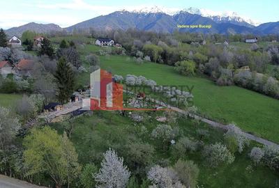2  A-Frame | Bran Sohodol| 2 cabane | Teren 3.812 mp | Operațional | - 15