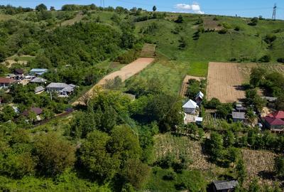 Teren 11.317 mp situat in Parava - Dragusani - Bacau - 5