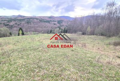 Teren extravilan Valea Doftanei 20.500 mp 6e mp - 6