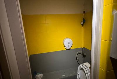 Spatiu Comercial de inchiriat pe Bd. Corneliu Coposu nr. 2, Pret Negociabil - 4