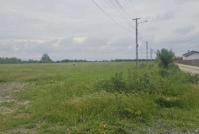 Loturi intravilane Colacu, Dâmbovița – | Utilități | Drum asfaltat, Comision 0 - 1