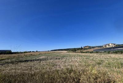Teren pentru constructie casa cu utilitati – Ciolpani, zona Izvorani - 2