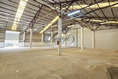 Hale 200-400-1.000 mp, productie, depozitare, logistica - 3