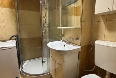 Apartament cu o camera Pod Piatra/Cantemir - 10