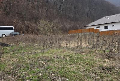 Teren intravilan intre case în Bunloc, lângă pădure – 604 mp - 7
