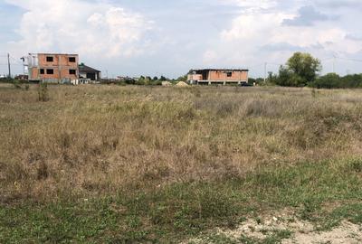 Teren Mosnita Noua, zona Albina - 5