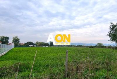Oportunitate de investitie, posibilitate parcelare, 12.000 MP, Sebes - 5