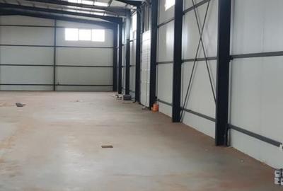 Hale noi 2buc  Voluntari ( Afumati ) pret bomba 750.000 euro - 7