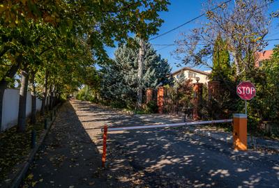 Casă individuală cu 17 camere în Chiajna