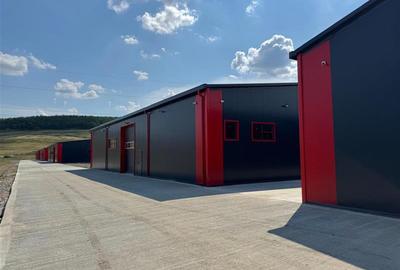 Parc Logistic in Miroslava alcătuit din 5 hale - 9