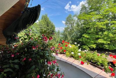 Vila 5 camere | Teren 3155 mp | Breaza - Comarnic | Gura Beliei - 9