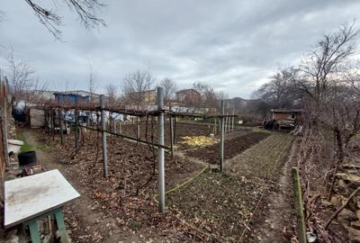TEREN 2300mp  |  KAMSAS  |  CONSTANTA - 6