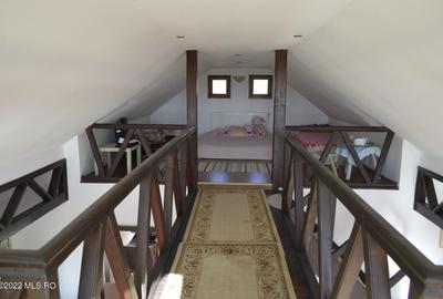 Topoloveni - Conacul Ion Mihalache, Domeniu pe 5 Hectare! - 37