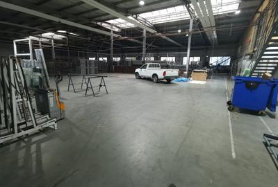 Hala Lugojului 1800 euro+TVA - 4