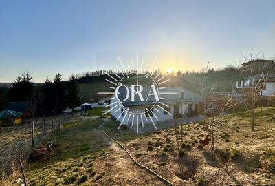 CASA INDIVIDUALA 5 CAMERE DE VANZARE | FELEACU TEREN 2418 MP - 1