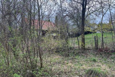 Breaza - str.Plaiului, Coasta Berzei nr.54, teren 1600 mp - 6