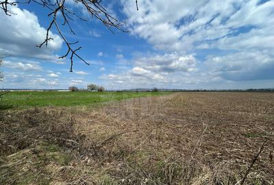 TEREN INTRAVILAN\\ZONA SPITALUL JUDETEAN PLOIESTI - 4