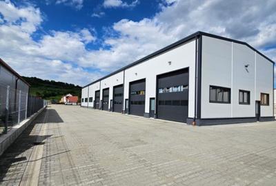 Spațiu industrial, 600 mp în Cristian