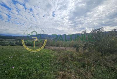Teren de vanzare ,Tocile, Sibiu, case de vacanta si locuinte - 6