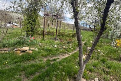 Vand casa de vacanta la 27 km de Buzau - 10