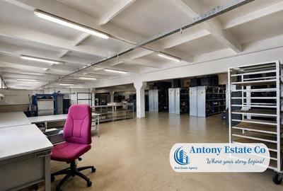 Antony Estate | Vanzare Hala - 2019 mp, Borsului - Oradea - 3