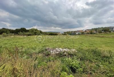 Teren intravilan, Proselnici, 2.300mp - 1