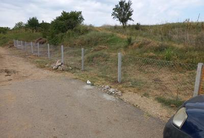 Teren agricol, 1HA, Marsa, Giurgiu - 2