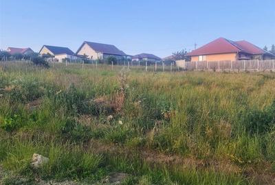 Teren intravilan de 1100 mp, în Săldăbagiu de Munte