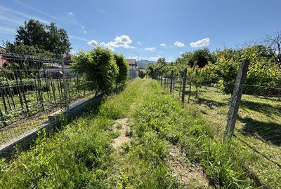 Teren Bujoreni Olteni - 3