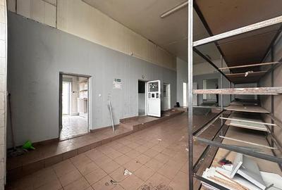 Hala, Iasi, CUG, 211mp, zona vamii - 10