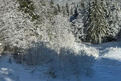 Teren Cioplea Predeal - 2