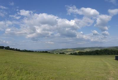 Teren Construcții intravilan de 1200 mp, în Nord-Est