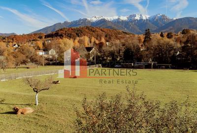 Teren Moieciu 8206 mp - Oportunitate de investitie - 1