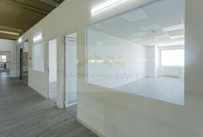 Hală industrială 2.000 mp Otopeni | Rampe TIR | ISU | Acces DN1 & Centură - 13