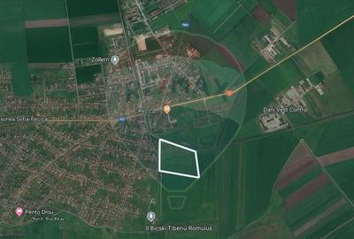 Teren extravilan cu iesire la drumul principal- Pecica, Arad - 1