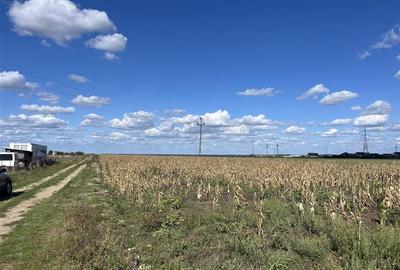 RECO Teren intravilan 1200mp -Livada de Bihor - 1