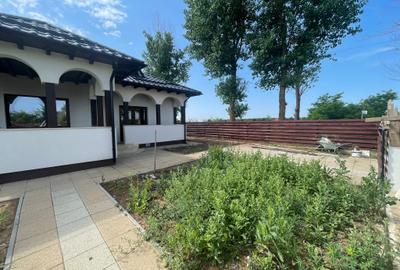 Casa Ciolpani-Teren generos-Direct proprietar - 16