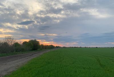 Teren Construcții intravilan de 38500 mp, în Ștefăneștii de Jos