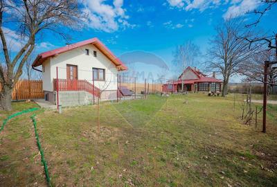 Casă de vânzare, tip duplex, teren 889 mp, în Păușa, comuna Nojorid - 20