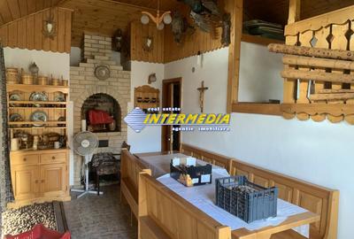 Vanzare Casa S+P+E in Alba Iulia Zona Cetate Skit finisata mobilata teren 800 mp - 7