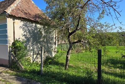Casa de vanzare in Daia, jud Mures - 39