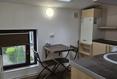 Apartament 1 camera de inchiriat in vila, zona Centru-Primarie - 11