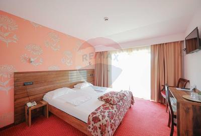 Hotel / Pensiune cu 24 camere de vânzare - Băile 1 Mai - 15