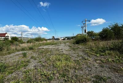 Teren intravilan, 3500 mp, zona Luna - 2