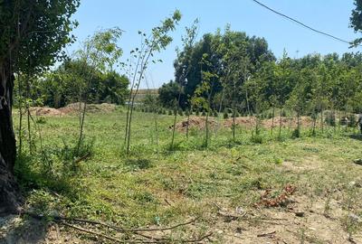 Teren construcții 3 loturi Intrarea Serelor/ Iuliu Hațeganu - 4