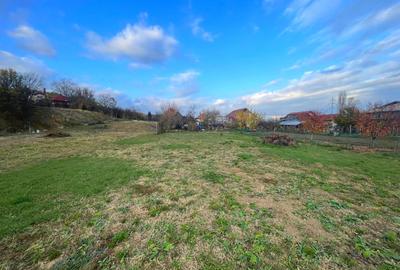 Teren generos cu livadă | 2.260 mp | Paclisa | Alba Iulia - 2