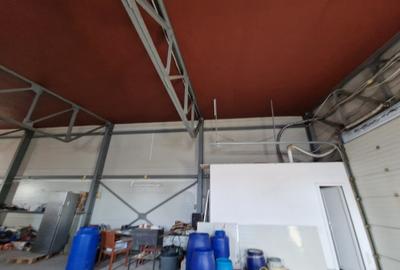 Hala 440mp, Apartamente 340mp, Garaj, teren 1500mp, acces facil-460.000euro - 32